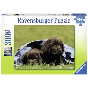 Ravensburger (13209) - "Labrador puppies" - 300 piezas