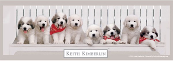 Anatolian (PER3139) - Keith Kimberlin: "Benchwarmers" - 1000 piezas