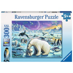 Ravensburger (13203) - "Polar Animals Gathering" - 300 piezas