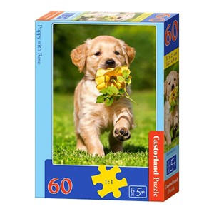 Castorland (B-06939) - "Puppy with Rose" - 60 piezas