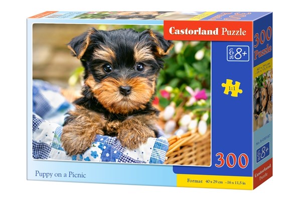 Castorland (B-030187) - "Puppy on a Picnic" - 300 piezas