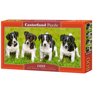 Castorland (B-060337) - Jack Russell: "Terrier Puppies" - 600 piezas