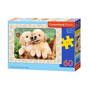 Castorland (B-06786) - "Golden Retriever Pups" - 60 piezas