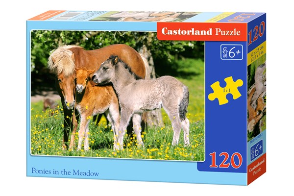 Castorland (B-12909) - "Ponies in grassland" - 120 piezas