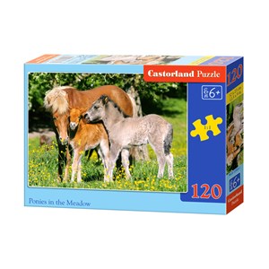 Castorland (B-12909) - "Ponies in grassland" - 120 piezas