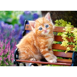 Castorland (B-018178) - "Ginger Kitten" - 180 piezas