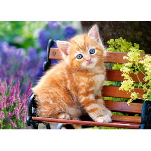 Castorland (B-018178) - "Ginger Kitten" - 180 piezas