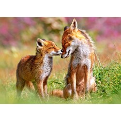 Castorland (B-13241) - "Little Fox and His Mum" - 120 piezas