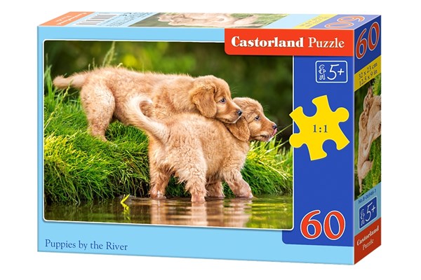Castorland (B-06946) - "Puppies by the River" - 60 piezas