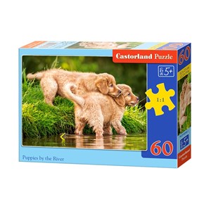Castorland (B-06946) - "Puppies by the River" - 60 piezas