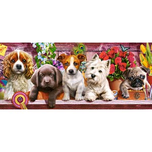 Castorland (B-060368) - "Puppies on a Shelf" - 600 piezas