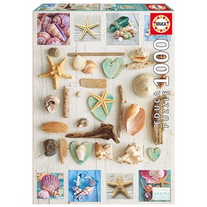 Educa (17658) - "Seashells collage" - 1000 piezas