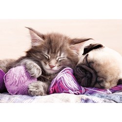 Educa (17644) - "Dream companions" - 500 piezas