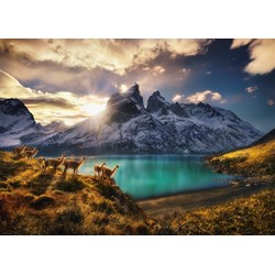 Heye (29815) - Alexander von Humboldt: "Guanacos" - 1000 piezas