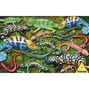 Piatnik (555343) - "Salamander" - 1000 piezas
