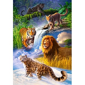 Castorland (C-103553) - "Big Cats" - 1000 piezas