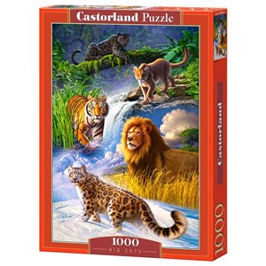 Castorland (C-103553) - "Big Cats" - 1000 piezas