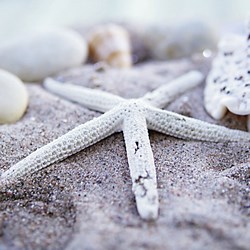 Ravensburger (19920) - "Maritime Impressions Multi" - 500 piezas