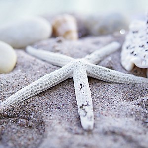 Ravensburger (19920) - "Maritime Impressions Multi" - 500 piezas