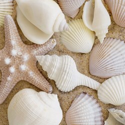 Ravensburger (19920) - "Maritime Impressions Multi" - 500 piezas