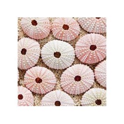 Ravensburger (19920) - "Maritime Impressions Multi" - 500 piezas