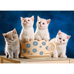 Castorland (B-52608) - "Looking for Milk" - 500 piezas