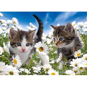 Ravensburger (10612) - "Kitty and Daisies" - 100 piezas