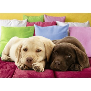 Ravensburger (19115) - "Nice and Warm" - 1000 piezas