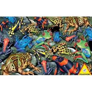 Piatnik (555244) - "Big Frogs" - 1000 piezas