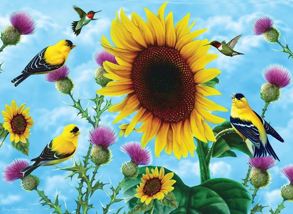 SunsOut (49038) - Jerry Gadamus: "Sunflowers and Songbirds" - 500 piezas