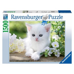 Ravensburger (16243) - "White kitten" - 1500 piezas