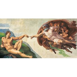 Clementoni (38004) - Michelangelo: "The Creation of Adam" - 13200 piezas