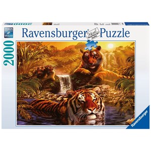 Ravensburger (16646) - "Tigers' Bathing" - 2000 piezas