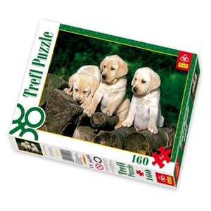 Trefl (15157) - "Little Labradors" - 160 piezas