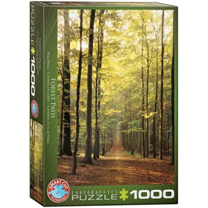 Eurographics (6000-3846) - "Forest Path" - 1000 piezas
