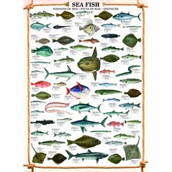 Eurographics (6000-0313) - "Sea Fish" - 1000 piezas