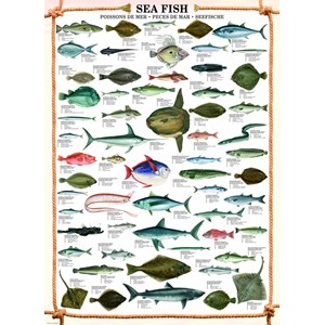 Eurographics (6000-0313) - "Sea Fish" - 1000 piezas
