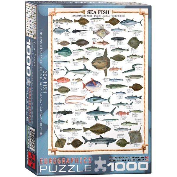 Eurographics (6000-0313) - "Sea Fish" - 1000 piezas