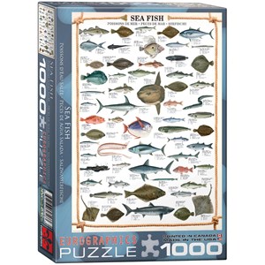 Eurographics (6000-0313) - "Sea Fish" - 1000 piezas