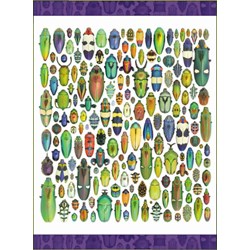 Pomegranate (AA286) - Christopher Marley: "Exquisite Creatures" - 1000 piezas