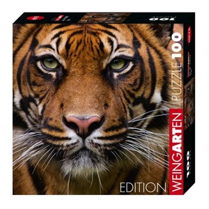 Heye (29632) - "Tiger" - 100 piezas