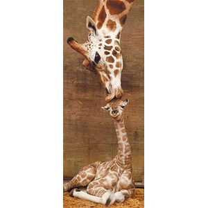 Ravensburger (15115) - "First Kiss" - 1000 piezas