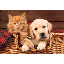 Trefl (15270) - "Better Together" - 160 piezas