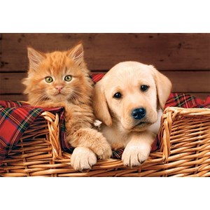 Trefl (15270) - "Better Together" - 160 piezas