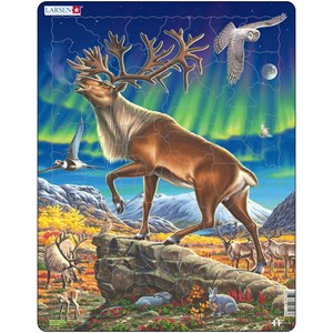 Larsen (FH26) - "Reindeer in Nordic Light" - 60 piezas