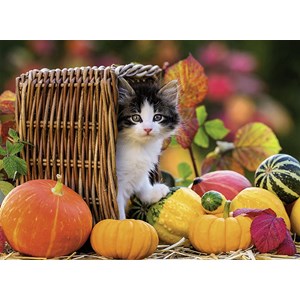 Ravensburger (13603) - "Kitten" - 500 piezas