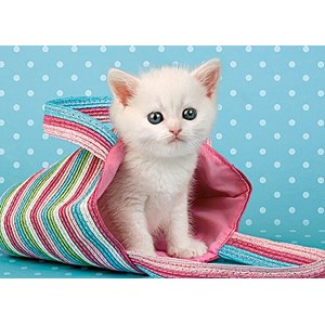 Castorland (B-010172) - "White Cat in Bag" - 108 piezas