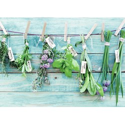 Ravensburger (19612) - "Herb Garden" - 1000 piezas