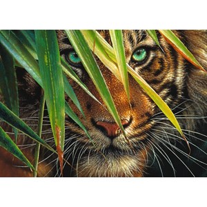 Ravensburger (19486) - "Mysterious Tiger" - 1000 piezas