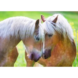 Ravensburger (19485) - "Intimate Moment" - 1000 piezas